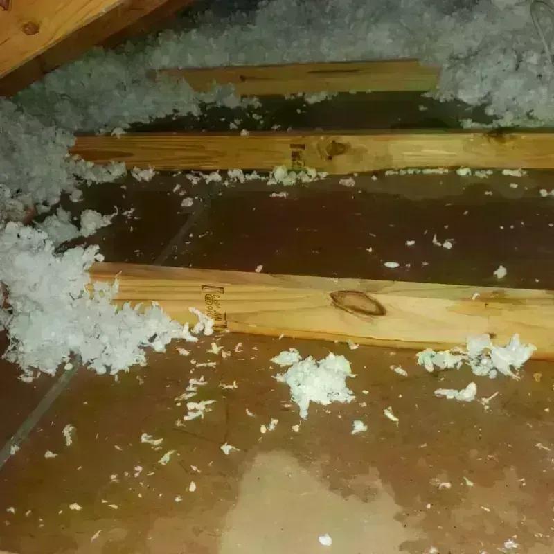 Attic Water Damage in McKees Rocks, PA